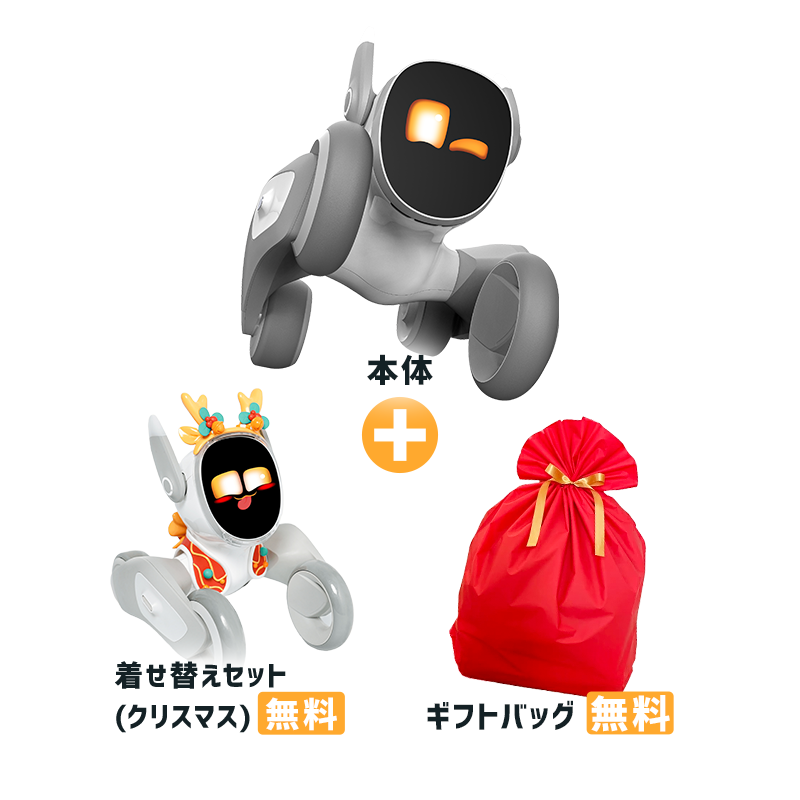 【クリスマス早割3点セット】Loona ルーナ (本体) + ギフトバック + 選べる着せ替えセット