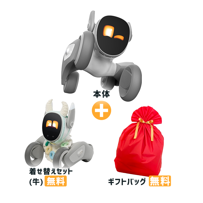 【クリスマス早割3点セット】Loona ルーナ (本体) + ギフトバック + 選べる着せ替えセット