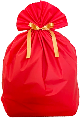 【クリスマス早割3点セット】Loona ルーナ (本体) + ギフトバック + 選べる着せ替えセット