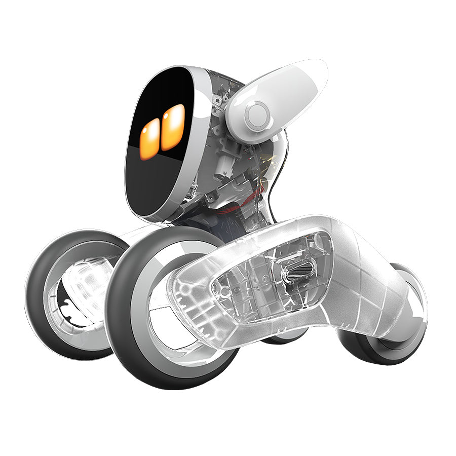 【クリスマス早割3点セット】Loona ルーナ (本体) + ギフトバック + 選べる着せ替えセット