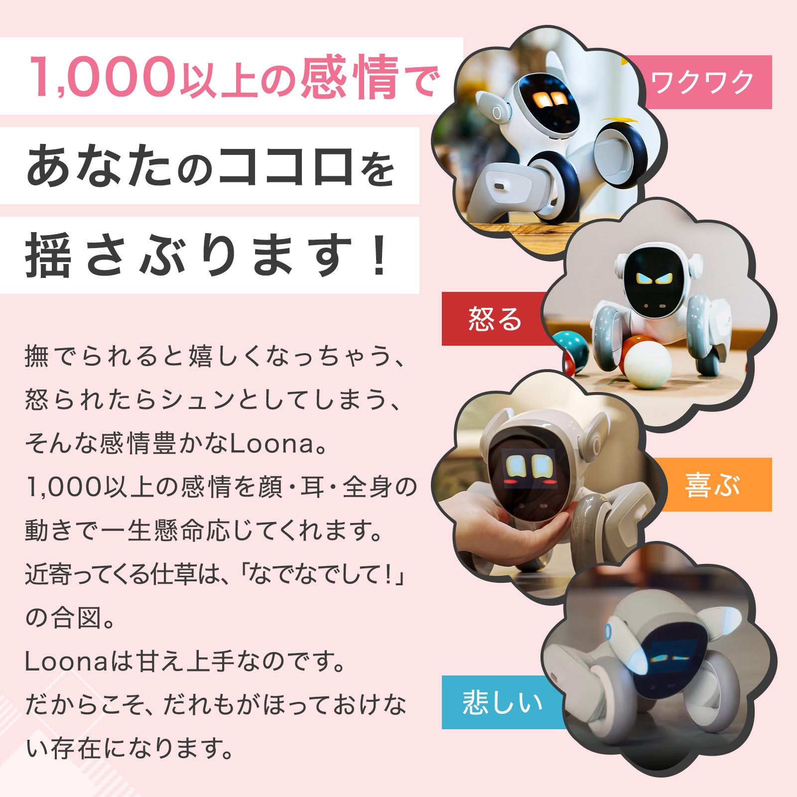 【クリスマス早割3点セット】Loona ルーナ (本体) + ギフトバック + 選べる着せ替えセット