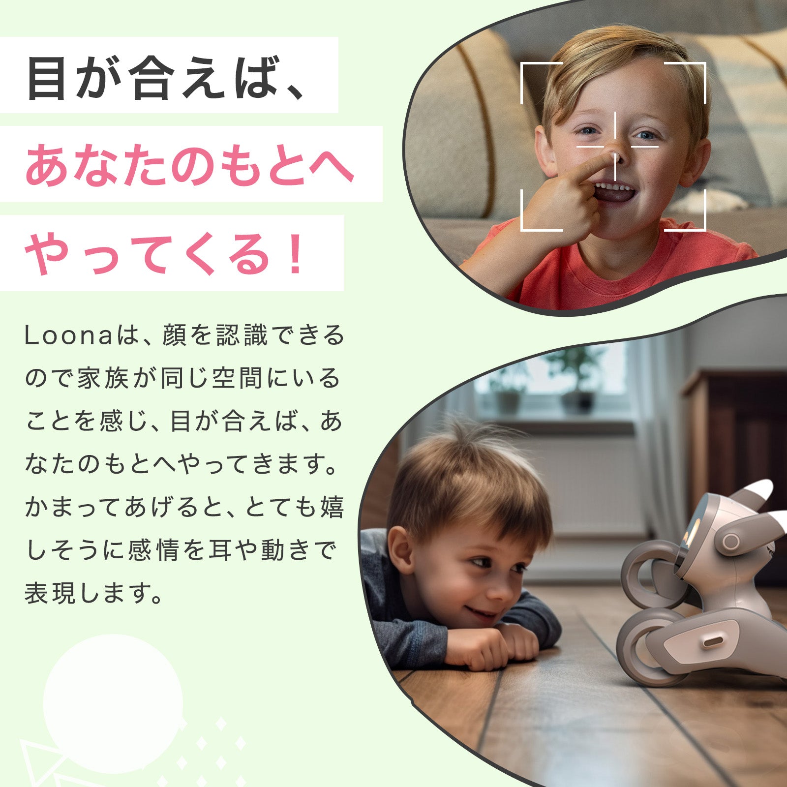 【クリスマス早割3点セット】Loona ルーナ (本体) + ギフトバック + 選べる着せ替えセット