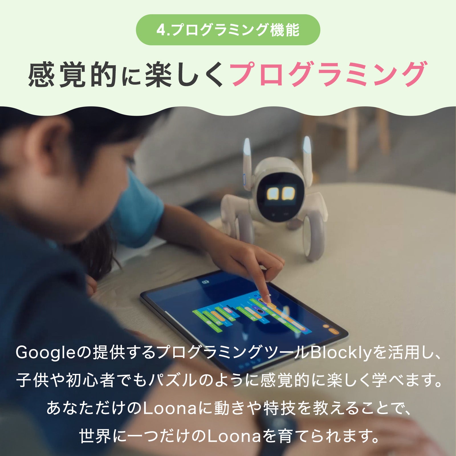 【クリスマス早割3点セット】Loona ルーナ (本体) + ギフトバック + 選べる着せ替えセット