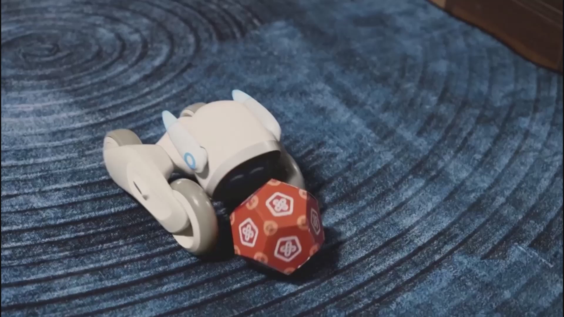 Loona official】ルーナ｜ペットロボット – loona-official